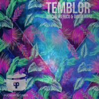 Artwork for Temblor by David Aarz