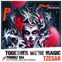 Artwork for Together We're Magic by Tzesar