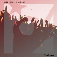 Artwork for Hands Up by Alex Kenji