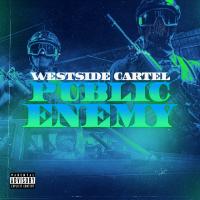 Artwork for Public Enemy by Westside Cartel