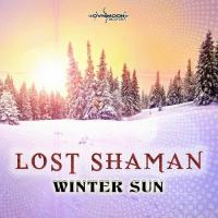 Artwork for Winter Sun by Lost Shaman