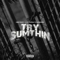 Artwork for Try Sumthin (feat. Yhung To) by OMB Peezy