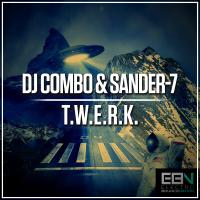 Artwork for T.W.E.R.K. by DJ Combo