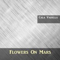 Artwork for Cala Vadella by Flowers On Mars