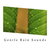 Artwork for Gentle Rain Sounds by Sounds Of Nature