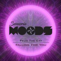 Artwork for Falling For you by Felix The Cat