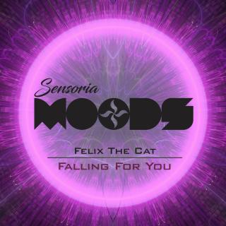 Artwork for Falling For You (Original Mix)