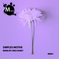 Artwork for Brand New Life by Simplex Motive