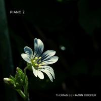 Artwork for Piano 2 by Thomas Benjamin Cooper