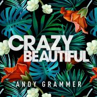 Artwork for Crazy Beautiful EP (Single) by Andy Grammer