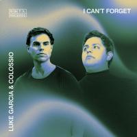 Artwork for I Can’t Forget by Luke Garcia