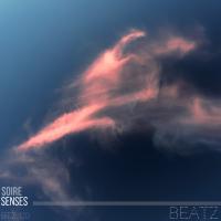 Artwork for Senses by Soire