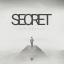 Artwork for Secret (Original Mix)