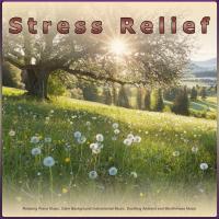 Artwork for Stress Relief: Relaxing Piano Music, Calm Background Instrumental Music, Soothing Ambient and Mindfulness Music by Stress Relief Experience