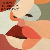 Artwork for ReLove 3 Anthology by Various Artists