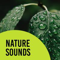 Artwork for Nature Sounds by Nature Sounds Nature Music