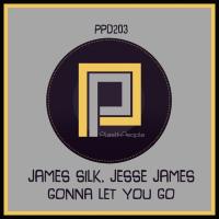 Artwork for Gonna Let You Go by James Silk