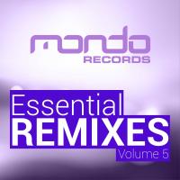 Artwork for Essential Remixes, Vol. 5 by Various Artists