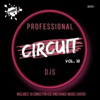 Artwork for Professional Circuit Djs Compilation Vol.10 by Various Artists