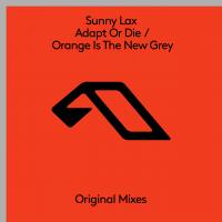 Artwork for Adapt Or Die / Orange Is The New Grey by Sunny LAX