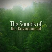 Artwork for The Sounds of the Environment by Nature Sounds Nature Music