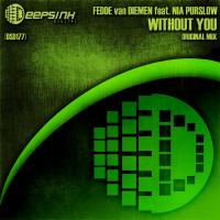 Artwork for Without You by Fedde van Diemen