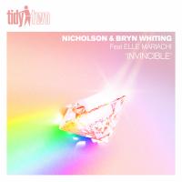 Artwork for Invincible by Nicholson