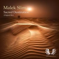 Artwork for Sacred Destination by Malek Slim