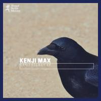 Artwork for Ornithology Ep by Kenji Max