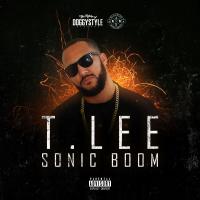 Artwork for Sonic Boom by T-Lee