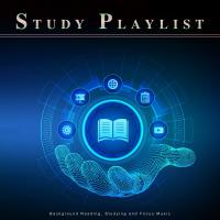 Artwork for Study Playlist: Background Reading, Studying and Focus Music by Study Music For Concentration