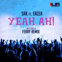 Artwork for Yeah AH! by Sak