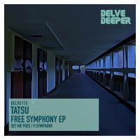 Artwork for Free Symphony E.P. by Tatsu