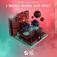 Artwork for I Want More (VIP Mix) by Marc Benjamin