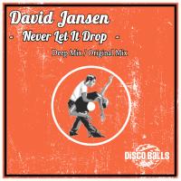 Artwork for Never Let It Drop by David Jansen