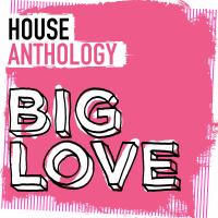 Artwork for Big Love House Anthology by Various Artists