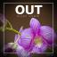 Artwork for Out (Original Mix)