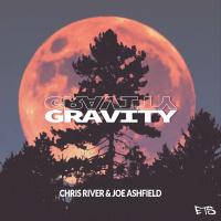 Artwork for Gravity by Chris River