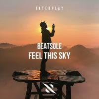 Artwork for Feel This Sky by Beatsole