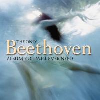 Artwork for The Only Beethoven Album You Will Ever Need by Royal Philharmonic Orchestra