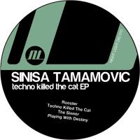 Artwork for Techno Killed The Cat EP by Sinisa Tamamovic