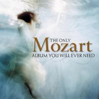 Artwork for The Only Mozart Album You Will Ever Need by Royal Philharmonic Orchestra