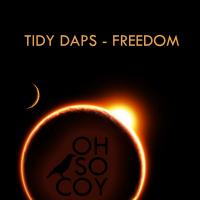 Artwork for Freedom by Tidy Daps