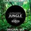 Artwork for Jungle (Original Mix)