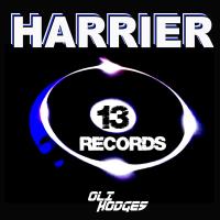 Artwork for Harrier by Oli Hodges