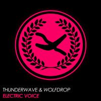 Artwork for Electric Voice by Thunderwave