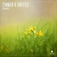 Artwork for Jindagee by Zinner