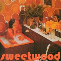 Artwork for The Hours Go By by Sweetwood