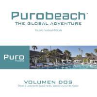 Artwork for Purobeach Volumen Dos The Global Adventure by Various Artists