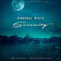 Artwork for Binaural Beats Serenity: Ambient Music and Nature Sounds For Sleep by Binaural Beats